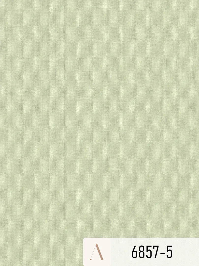 Giấy dán tường Albany 6857-5
