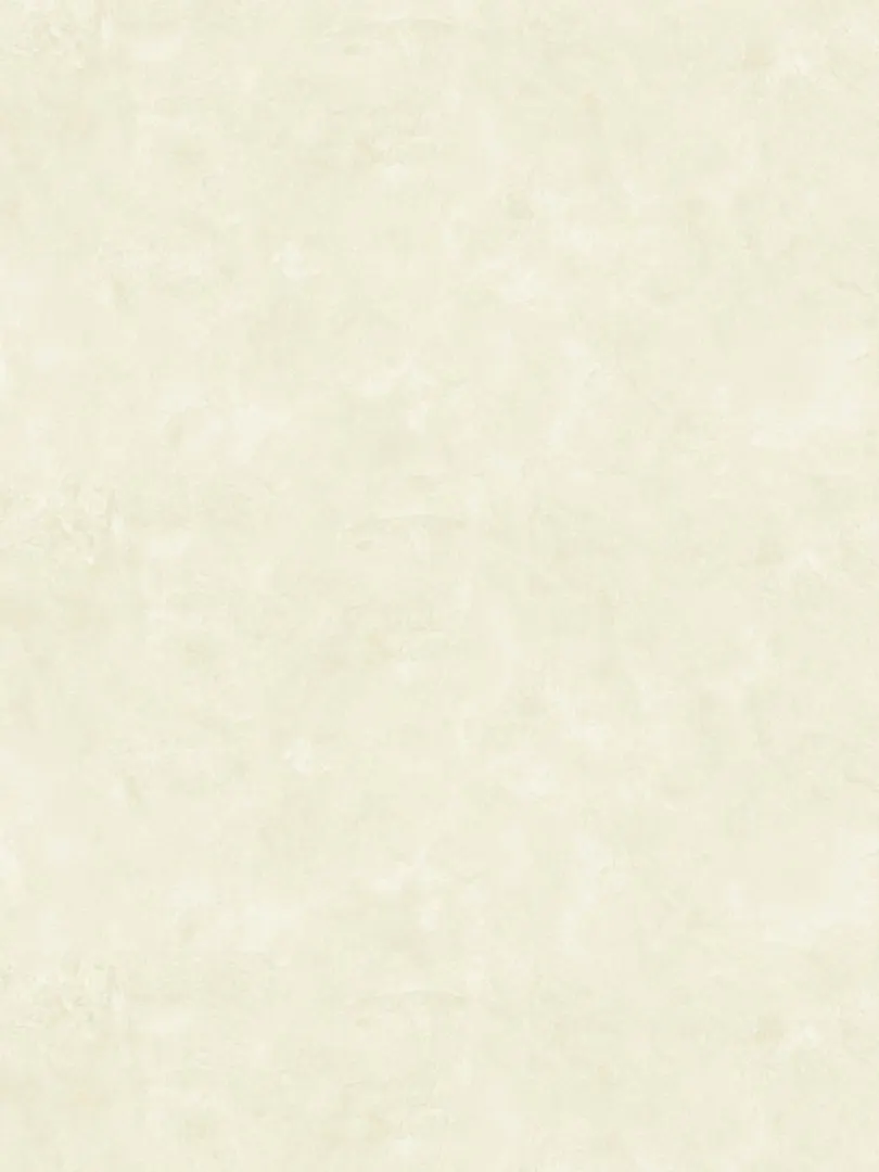 Giấy dán tường BOS 81115-4