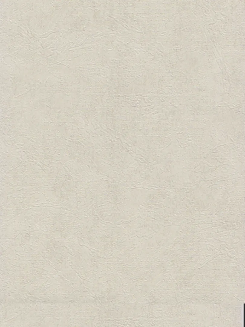 Giấy Dán Tường DIO 14162