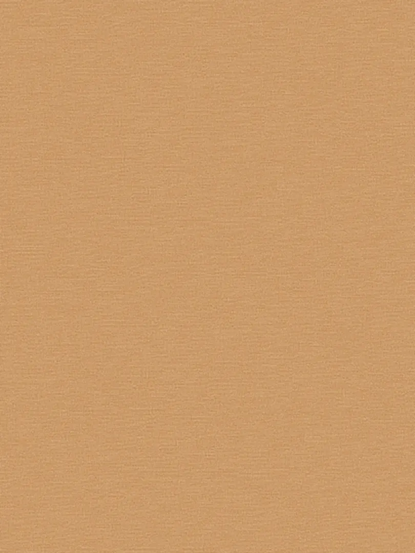 Giấy dán tường FIORE 81216-6