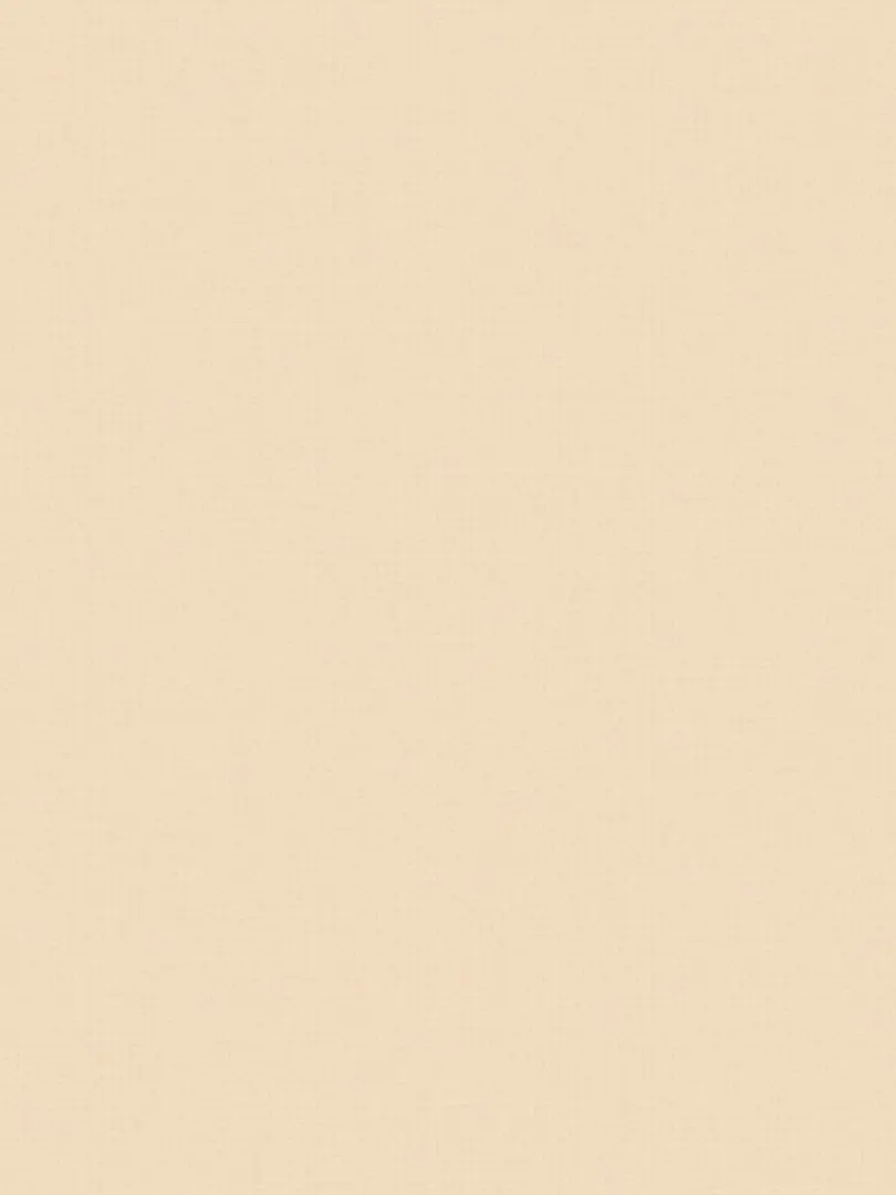Giấy dán tường FIORE 82056-5
