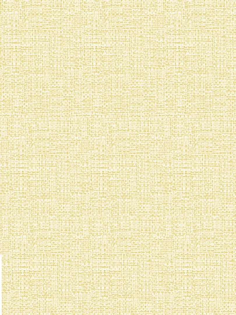 Giấy Dán Tường NEW LUCK II 8004-2