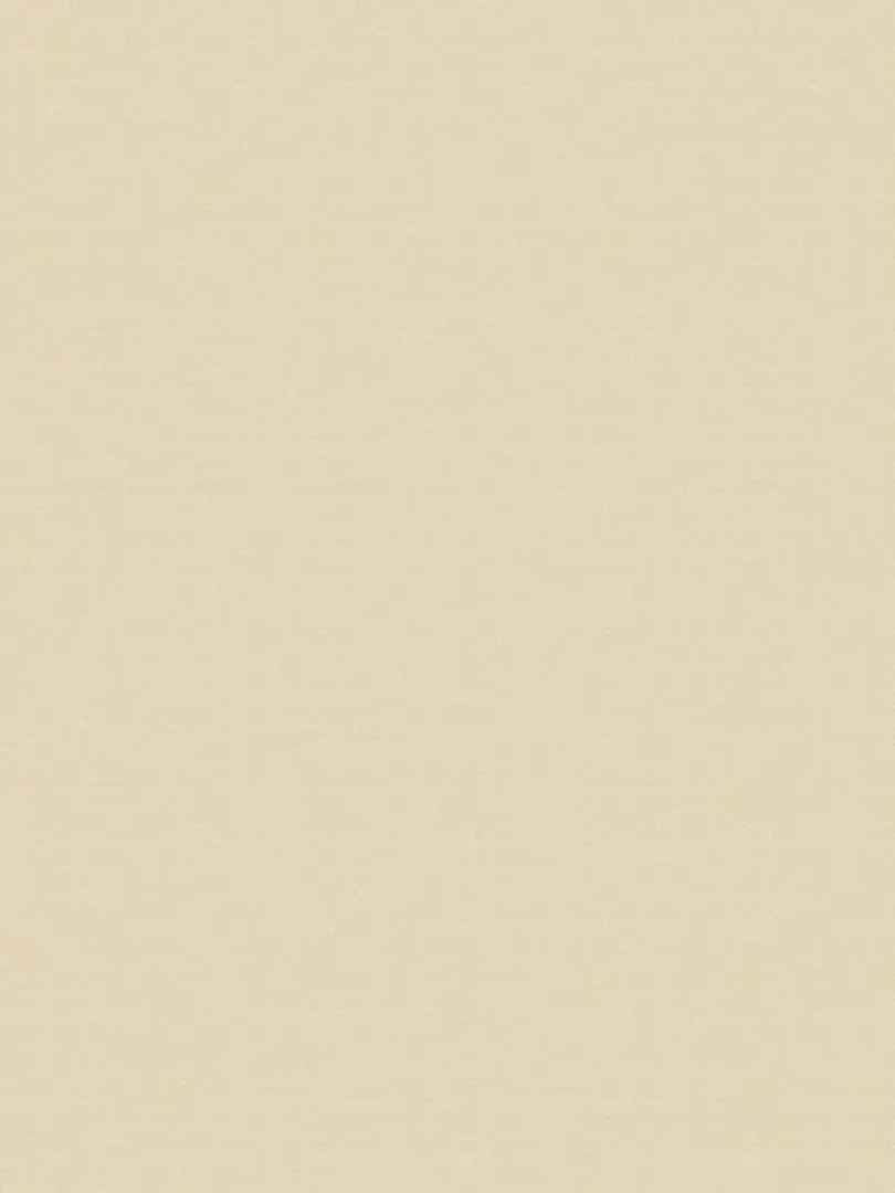 Giấy dán tường V-CONCEPT 7902-3