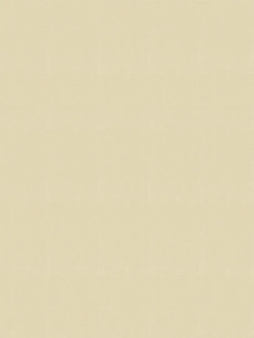 Giấy dán tường V-CONCEPT 7904-3