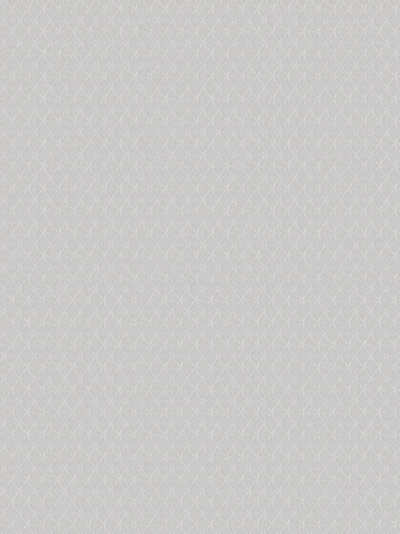 Giấy dán tường Xavia 3911-5