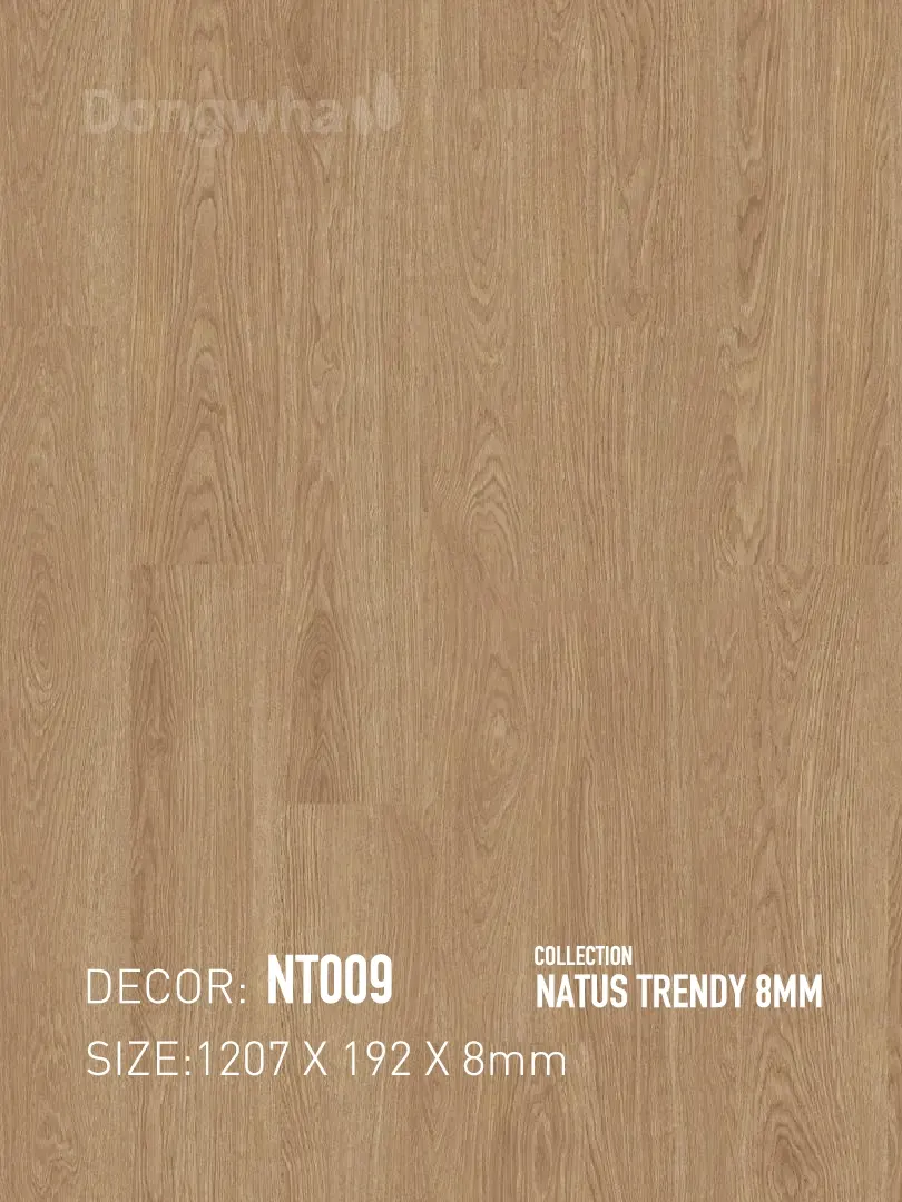 Sàn gỗ Dongwha NT009