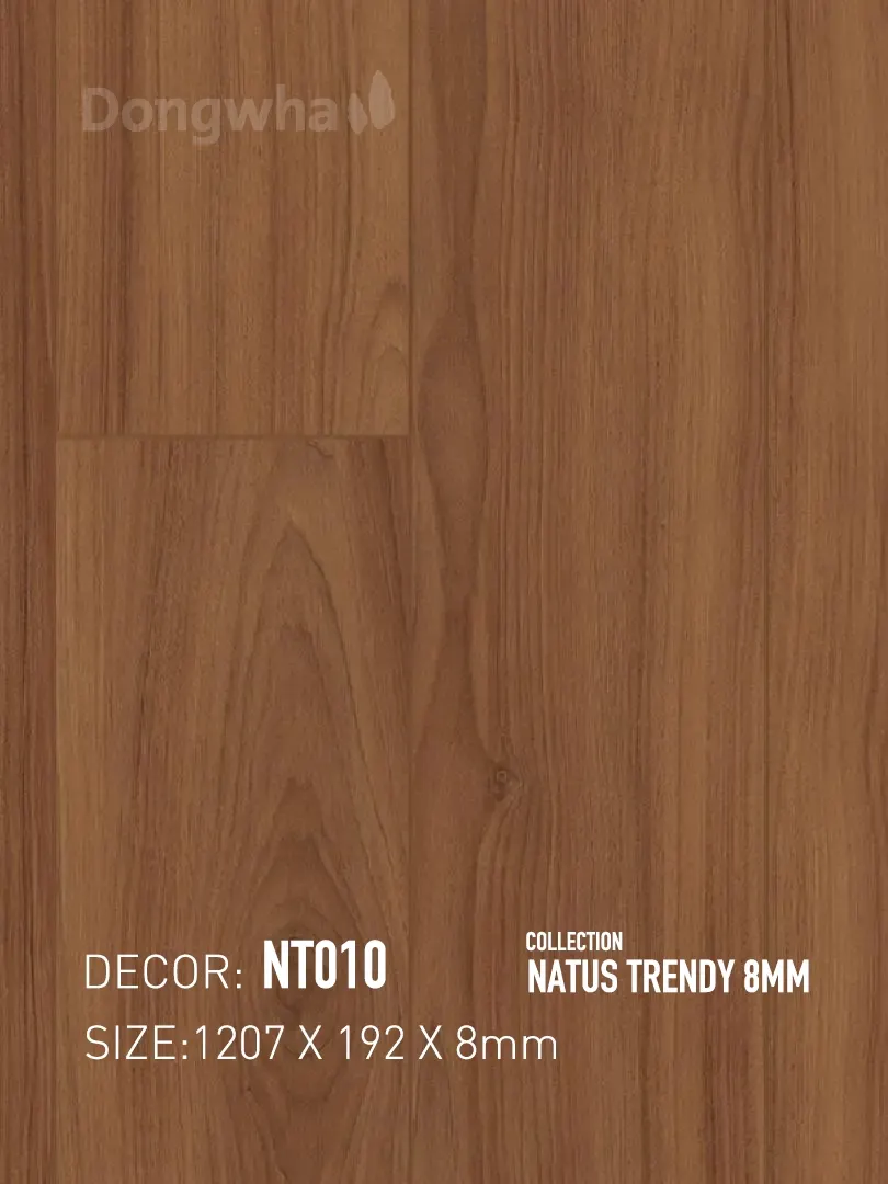 Sàn gỗ Dongwha NT010
