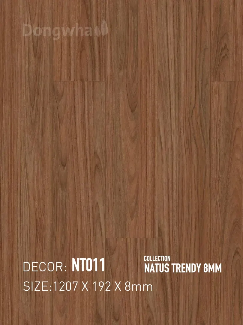Sàn gỗ Dongwha NT011