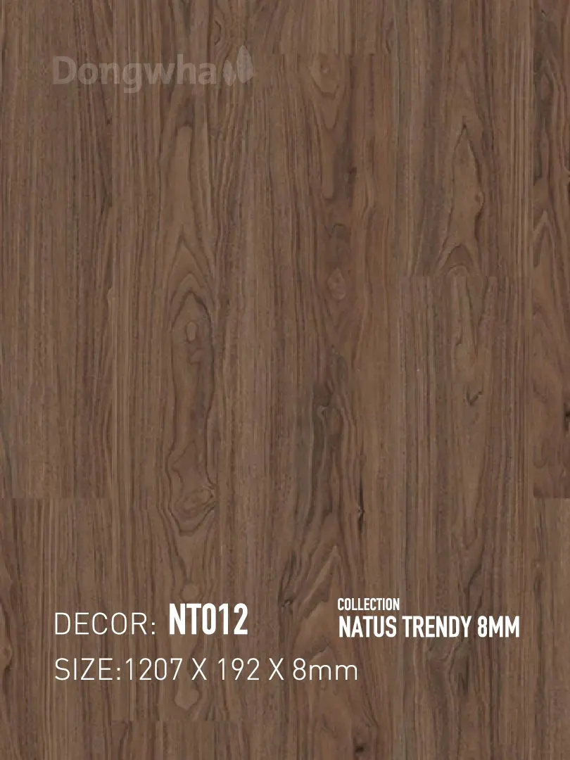 Sàn gỗ Dongwha NT012