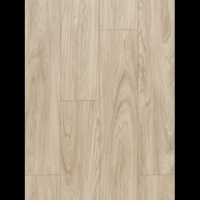 Sàn gỗ Kronopol D4579