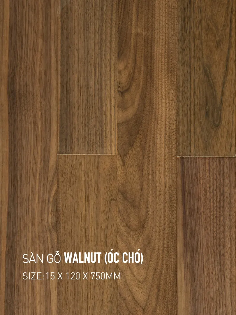 Sàn gỗ Walnut 120x750mm