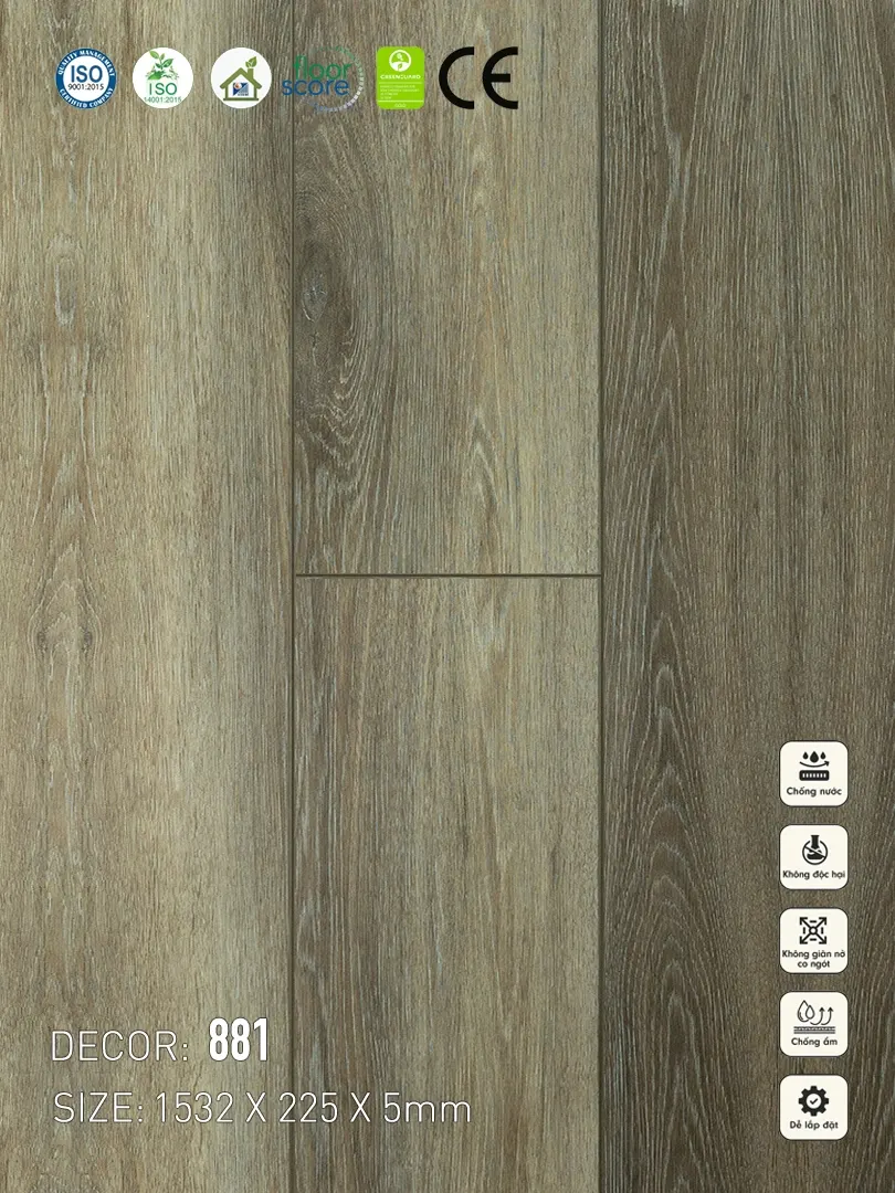 Sàn nhựa VinapoLy 5mm V881
