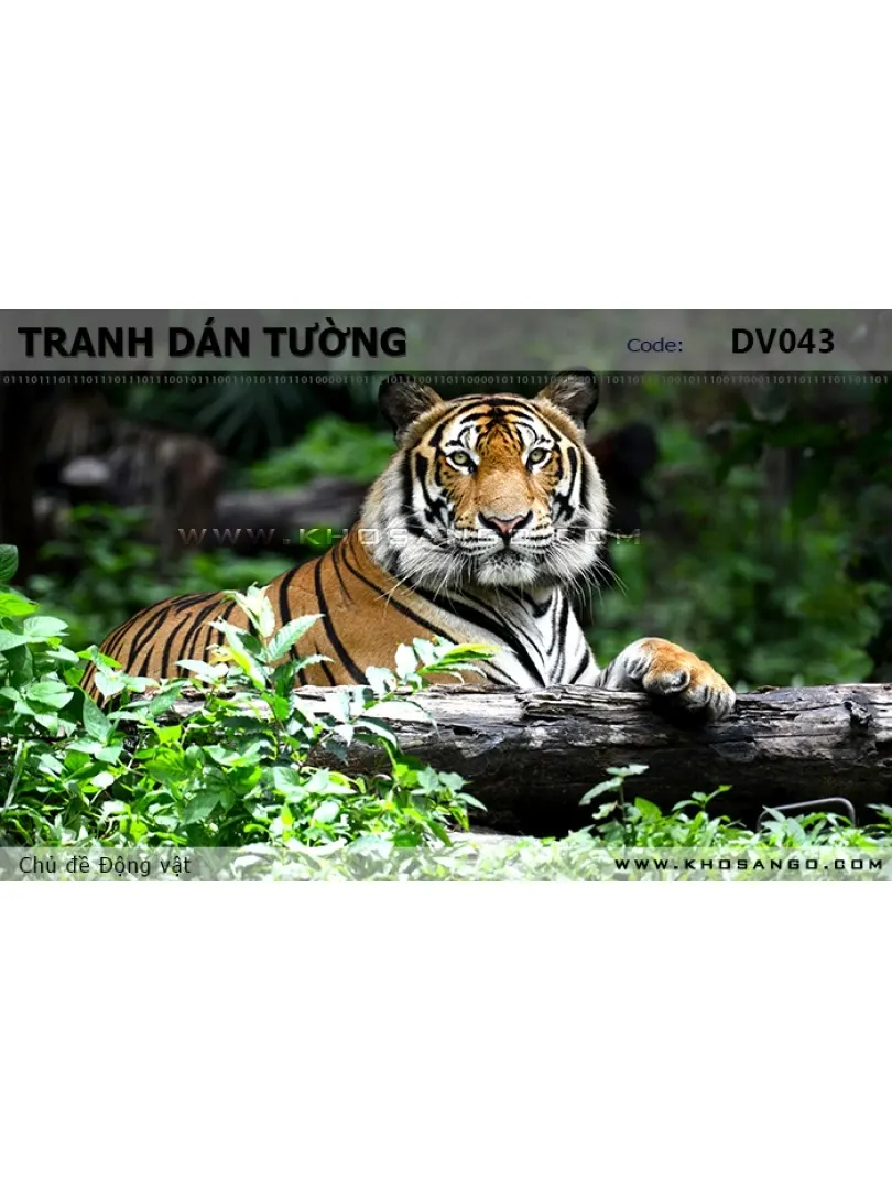 Tranh dán tường Động vật DV043