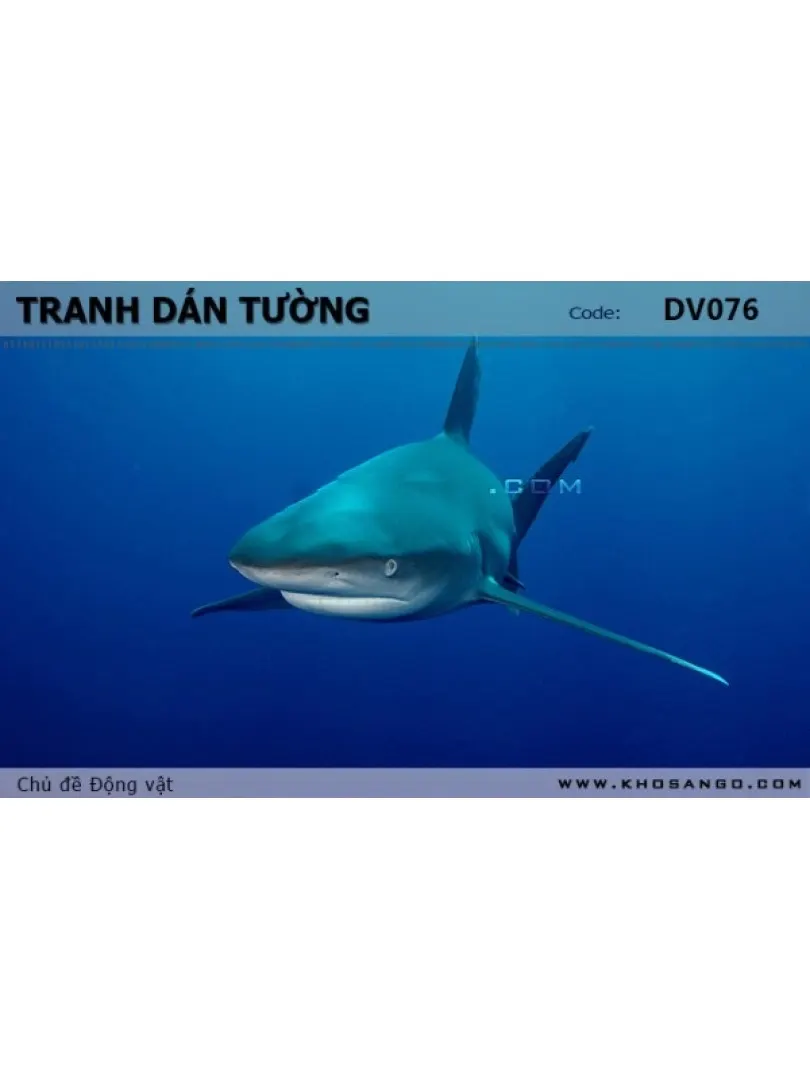 Tranh dán tường Động vật DV076