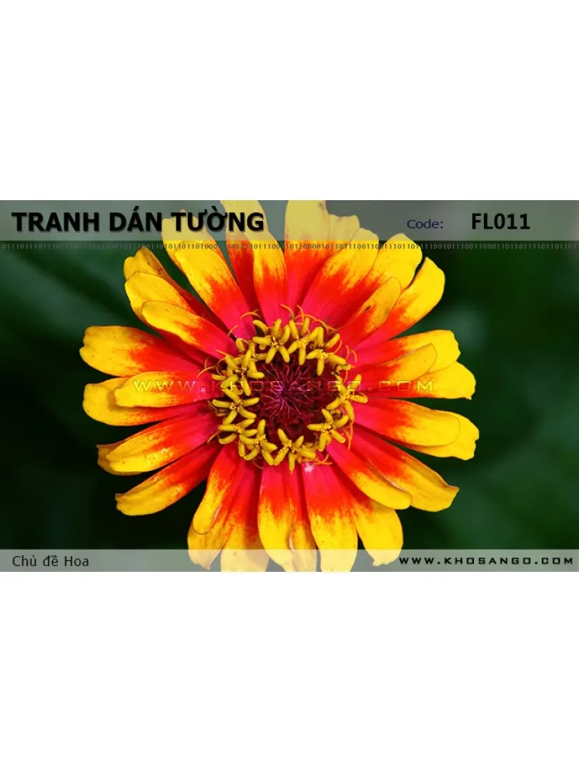 Tranh dán tường Hoa FL011
