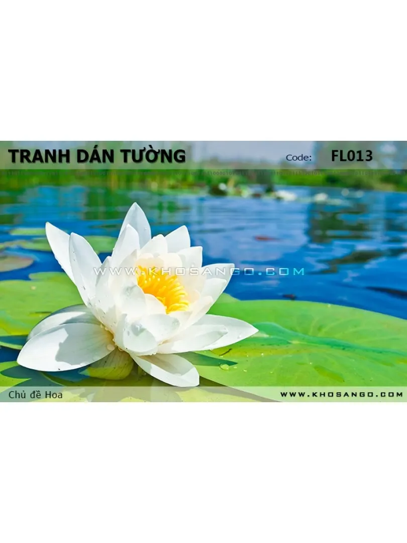 Tranh dán tường Hoa FL013