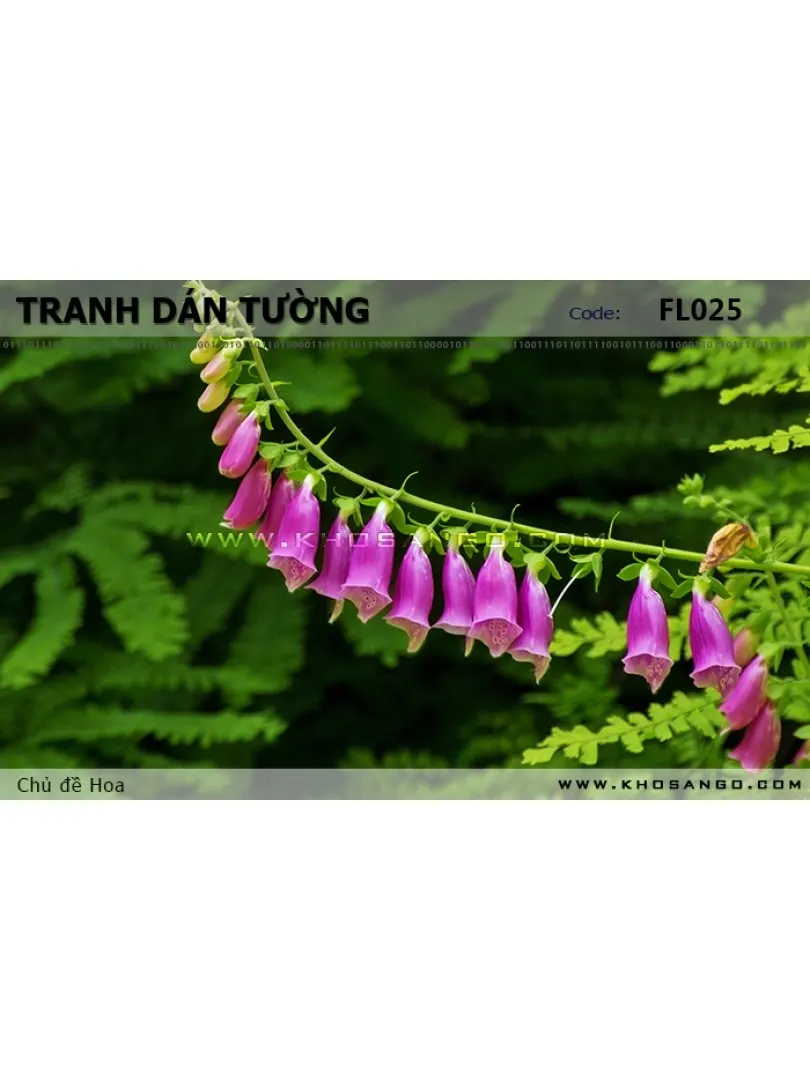 Tranh dán tường Hoa FL025
