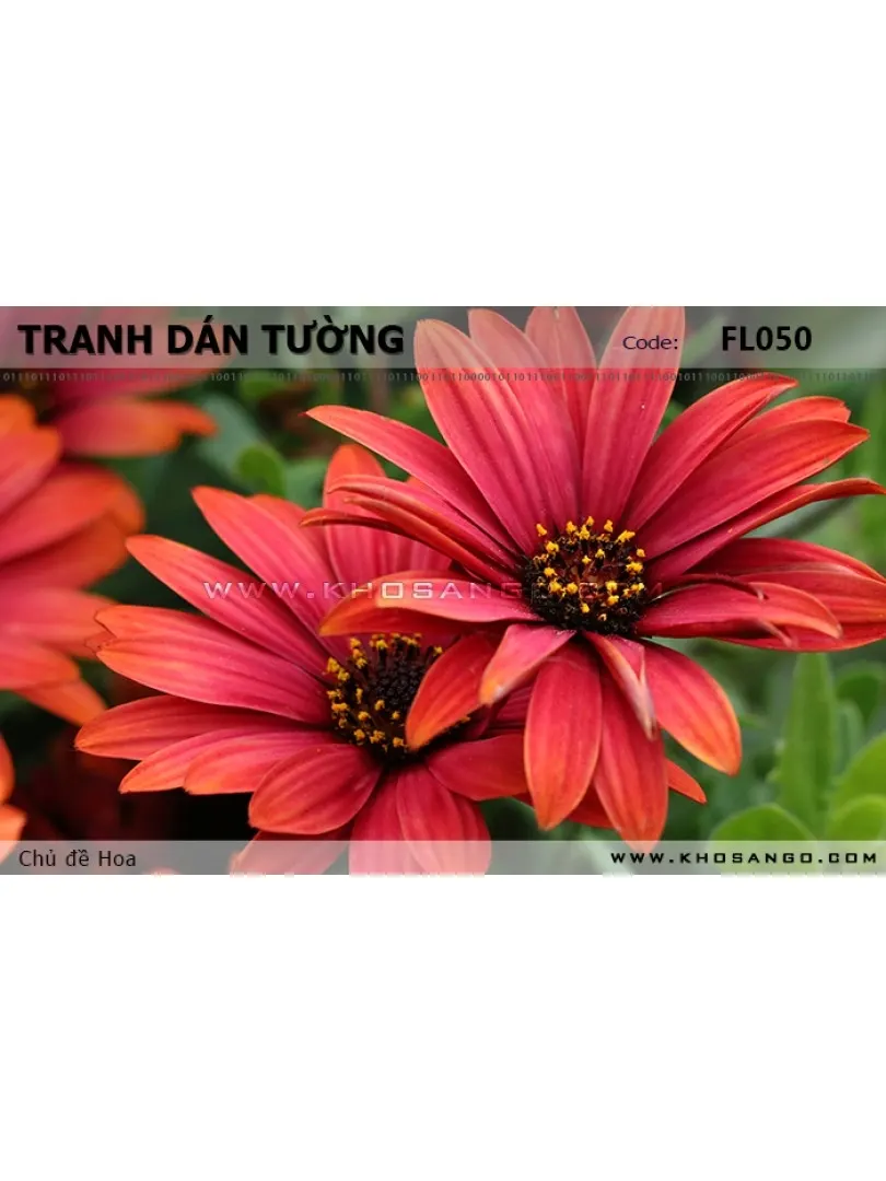 Tranh dán tường Hoa FL050